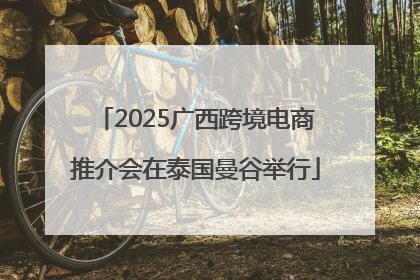 2025广西跨境电商推介会在泰国曼谷举行