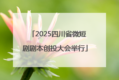 2025四川省微短剧剧本创投大会举行