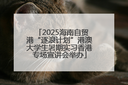 2025海南自贸港“逐浪计划”港澳大学生暑期实习香港专场宣讲会举办