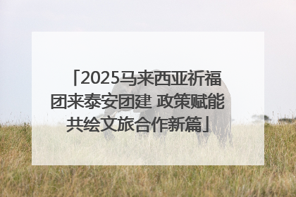 2025马来西亚祈福团来泰安团建 政策赋能共绘文旅合作新篇