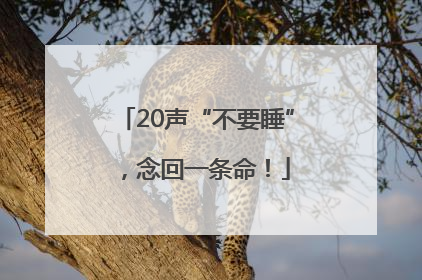 20声“不要睡”，念回一条命！