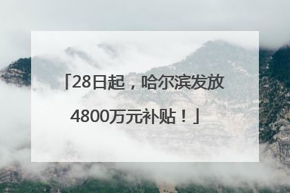 28日起，哈尔滨发放4800万元补贴！