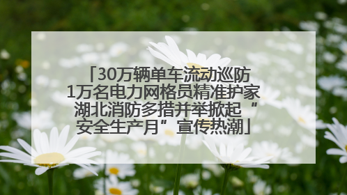 30万辆单车流动巡防 1万名电力网格员精准护家 湖北消防多措并举掀起“安全生产月”宣传热潮