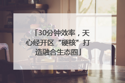 30分钟效率，天心经开区“硬核”打造融合生态圈