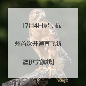 7月4日起，杭州首次开通直飞新疆伊宁航线