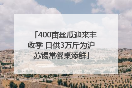 400亩丝瓜迎来丰收季 日供3万斤为沪苏锡常餐桌添鲜