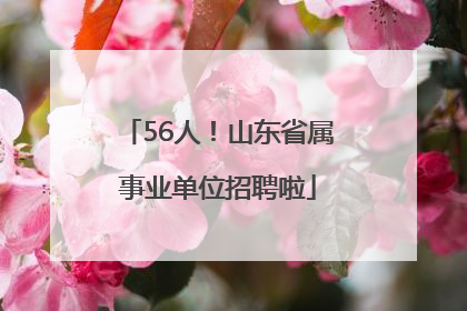 56人！山东省属事业单位招聘啦