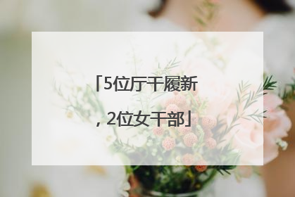 5位厅干履新，2位女干部