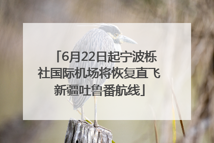 6月22日起宁波栎社国际机场将恢复直飞新疆吐鲁番航线