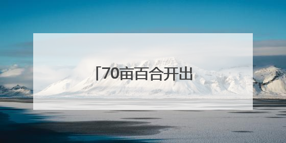 70亩百合开出“花”样经济
