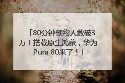 80分钟预约人数破3万！搭载原生鸿蒙，华为Pura 80来了！