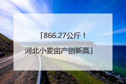 866.27公斤！河北小麦亩产创新高
