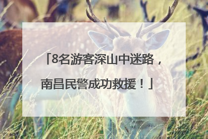 8名游客深山中迷路，南昌民警成功救援！