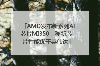 AMD发布新系列AI芯片MI350，称新芯片性能优于英伟达