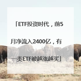 ETF投资时代，前5月净流入2400亿，有一类ETF被越涨越买