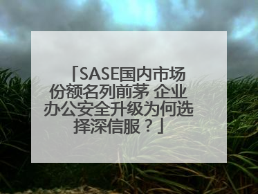 SASE国内市场份额名列前茅 企业办公安全升级为何选择深信服？